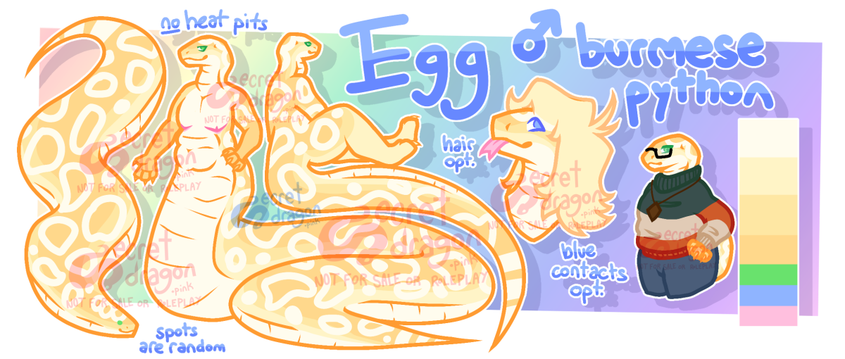 Egg is a male anthropomorphic burmese python. His scales are yellow, becoming a darker gold color along his back, with white markings and scutes. Notably, he does not have heat pits, and his markings are drawn randomly. He has a flat chest and is overall chubby. His eyes are naturally green, but he has blue contacts he wears instead of glasses sometimes and can also be drawn with blonde hair. The reference has 3 types of genitalia: a sheath with two cocks, a vulva with two t-dicks, and a sort of cloaca-style sheath with both two cocks and a vagina. His main forms are a naga form, a bipedal form, and a feral form. He has an outfit that consists of blue pants, a green + orange + brown sweater, a brown necklace with a wooden diamond-shaped charm, and black glasses.
